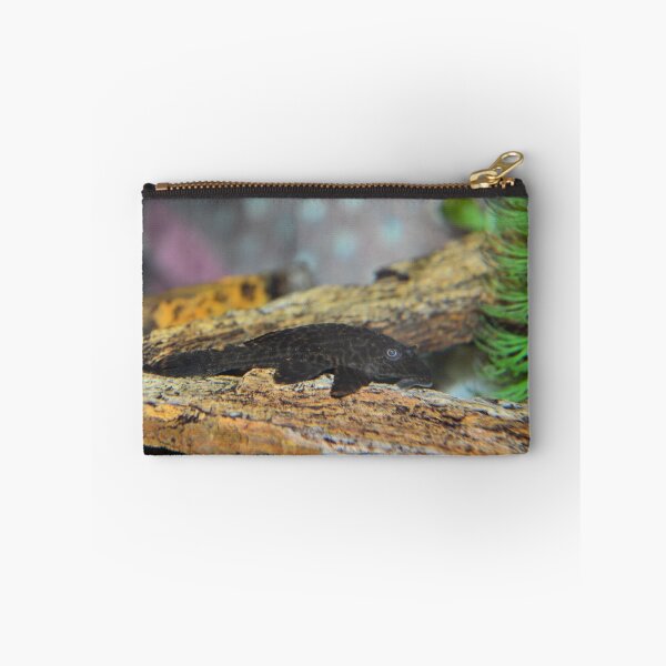 Item preview, Hypostomus plecostomus designed and sold by LynyrdSky.