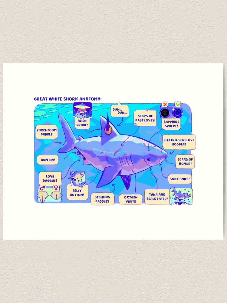 Alternate view of Great White Shork Anatomy Art Print