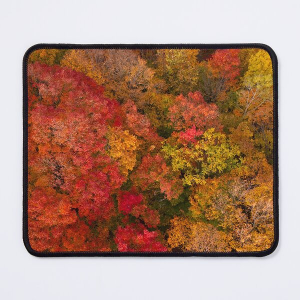 Item preview, Aerial view above a forest with the colors of Autumn designed and sold by celinebisson.
