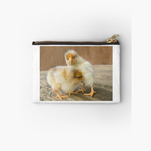 Item preview, Two Cute Baby Chicks golden polish chickens designed and sold by Steven Holt.