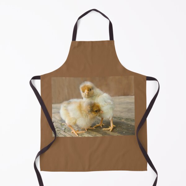 Item preview, Two Cute Baby Chicks golden polish chickens designed and sold by Steven Holt.
