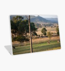 Kangaroos with their Joey -Vacy, NSW Australia Laptop Skin