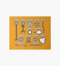 Bacteriophage families Art Board