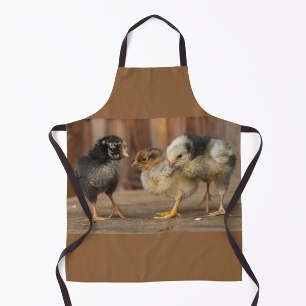 Item preview, Three Cute Baby Chicks, wyandote, blue polish and golden polish chickens designed and sold by Steven Holt.