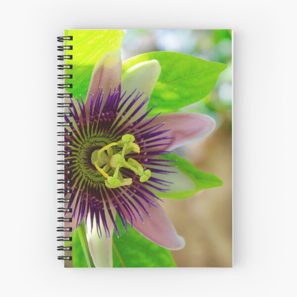 Item preview, purple & and pink flower designed and sold by Beth Tidd.