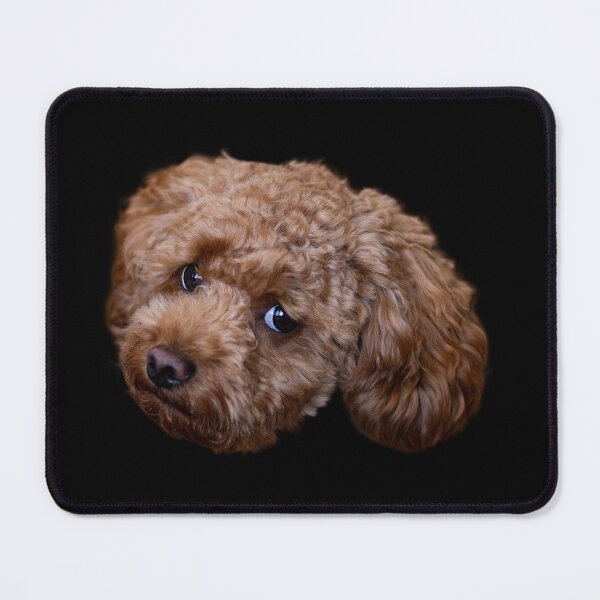 Item preview, Poodle apricot designed and sold by BehinTheIdea.