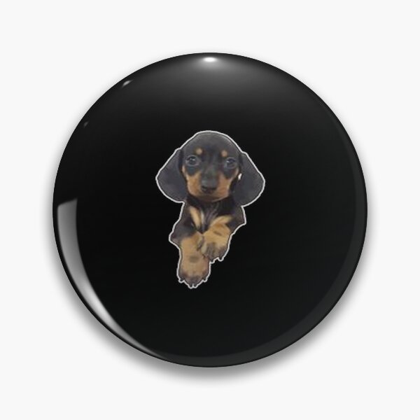 Item preview, Cute miniature Dachshund designed and sold by Animoxz3.