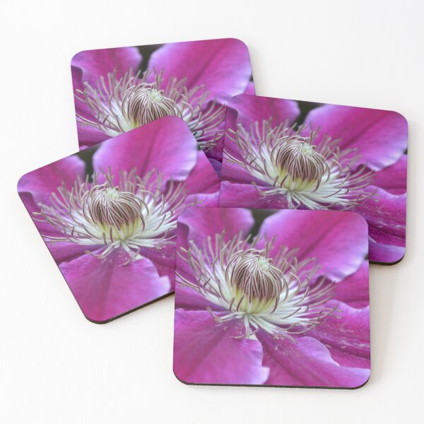 Item preview, Pink Clematis designed and sold by ImortalFire.