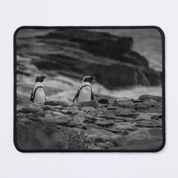 Item preview, Penguins in Cape Town designed and sold by CP-Creations.