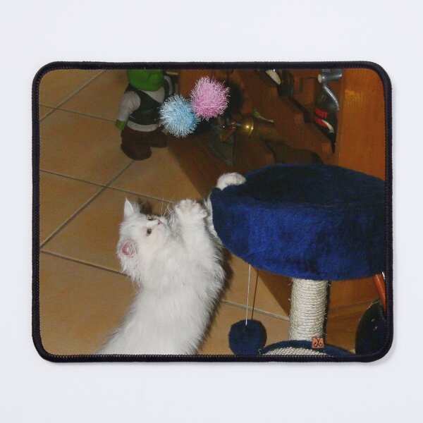 Item preview, White Persian Fluffy Baby Cat Nyssa Playing (Photo by ACCI) designed and sold by VanyssaGraphics.
