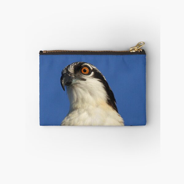 Aperçu de l'œuvre Juvenile osprey profile créée et vendue par Anthony Goldman.