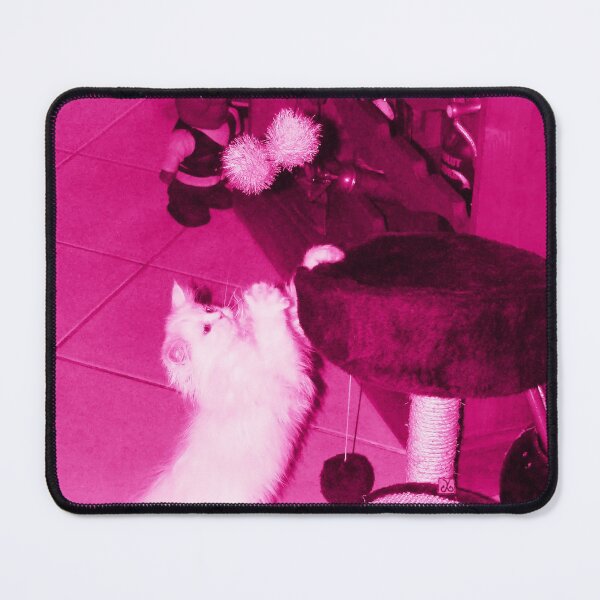Item preview, White Persian Fluffy Baby Cat Nyssa Playing (Photo by ACCI) designed and sold by VanyssaGraphics.