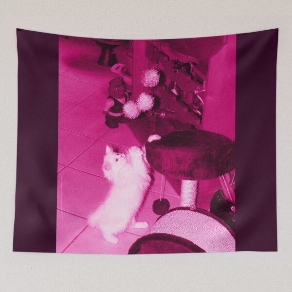 Item preview, White Persian Fluffy Baby Cat Nyssa Playing (Photo by ACCI) designed and sold by VanyssaGraphics.