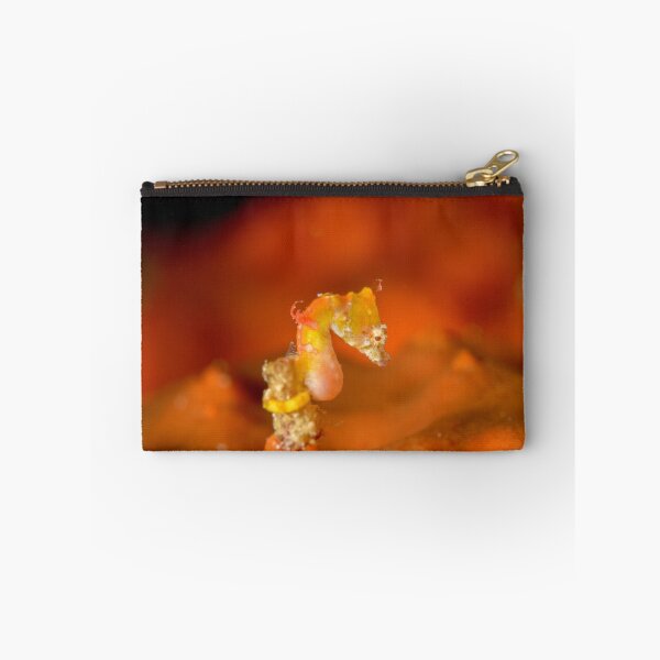Item preview, Pontoh's Pygmy Seahorse - Hippocampus pontohi designed and sold by Andrew Trevor-Jones.