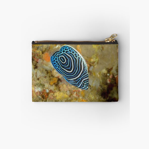 Item preview, Juvenile Emperor Angelfish - Pomacanthus imperator designed and sold by Andrew Trevor-Jones.
