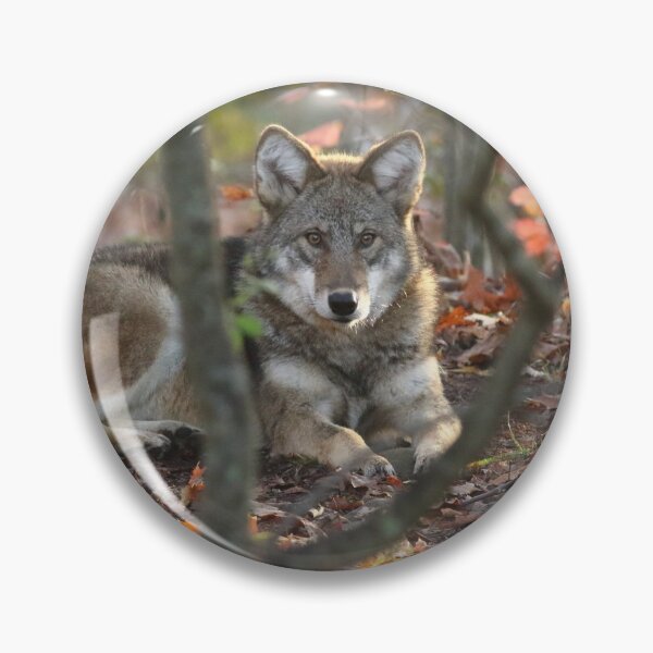 Item preview, Scout the Coyote puppy designed and sold by arcadian7.