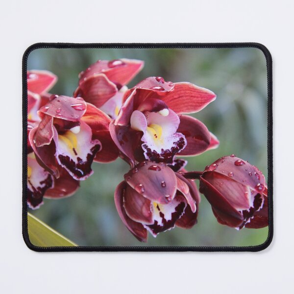 Item preview, When Mimi Drops By designed and sold by Michael May.