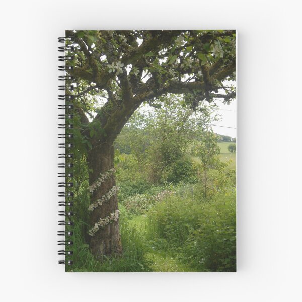 Item preview, Apple Blossom Spiral on tree trunk designed and sold by Amber-Woodhouse.