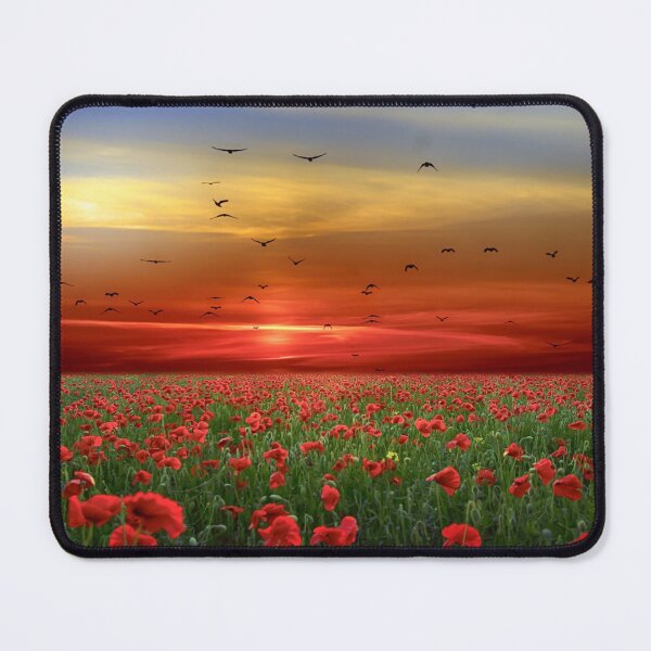 Item preview, Beautiful sunset photograph with a field of red poppies and birds flying over. A bright image, with reds, greens and blues designed and sold by Orianah.