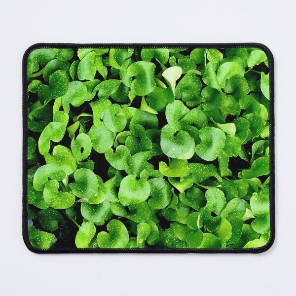 Item preview, Texture of floor leaves designed and sold by RafaelLima7.