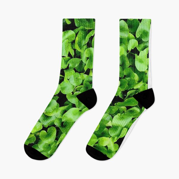 Artikelvorschau, Textur der Bodenblätter entworfen und verkauft von RafaelLima7.