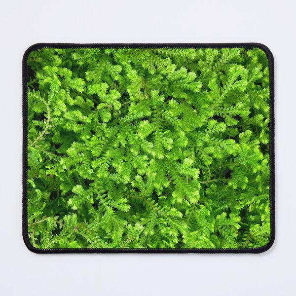 Item preview, Lush Green Leafy Plants designed and sold by softbluehum.