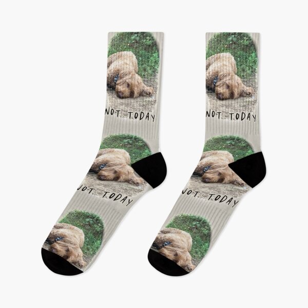 Item preview, Not today | funny goldendoodle quote designed and sold by NathBros.