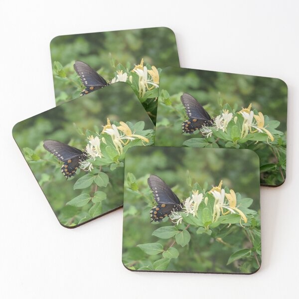 Item preview, Butterfly on Branch Photographic Image designed and sold by AustaArt.