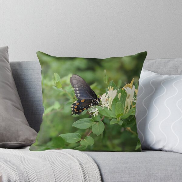 Artikelvorschau, Schmetterling auf Ast fotografisches Bild entworfen und verkauft von AustaArt.