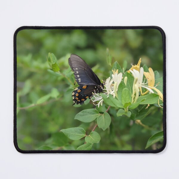 Item preview, Butterfly on Branch Photographic Image designed and sold by AustaArt.