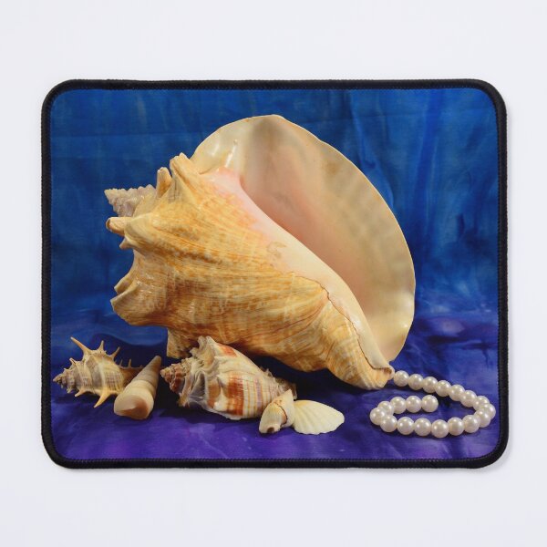 Item preview, Conch shell art designed and sold by ConchArts.