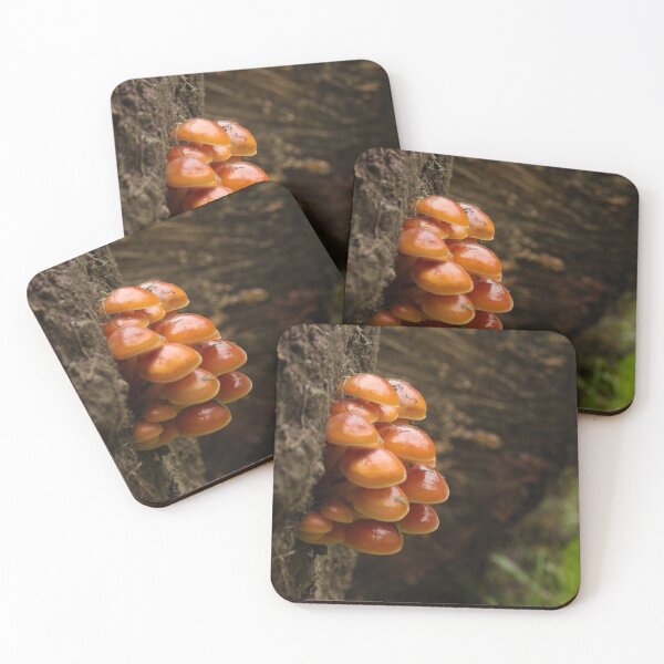 Item preview, Mushrooms on stump designed and sold by arcadian7.