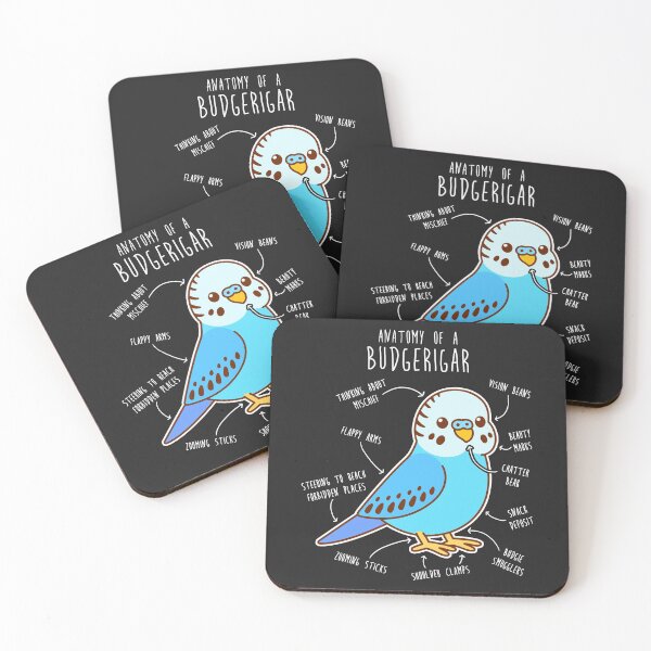 Item preview, Blue Budgie Anatomy designed and sold by Clara Hollins.
