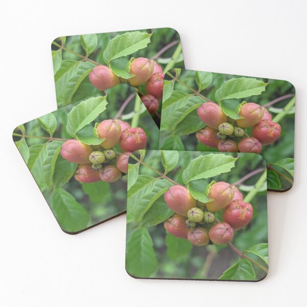 Item preview, Red Buds on a Walk Photographic Image designed and sold by AustaArt.