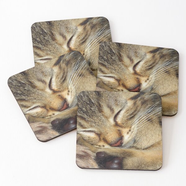 Item preview, sleeping kitten designed and sold by arcadian7.