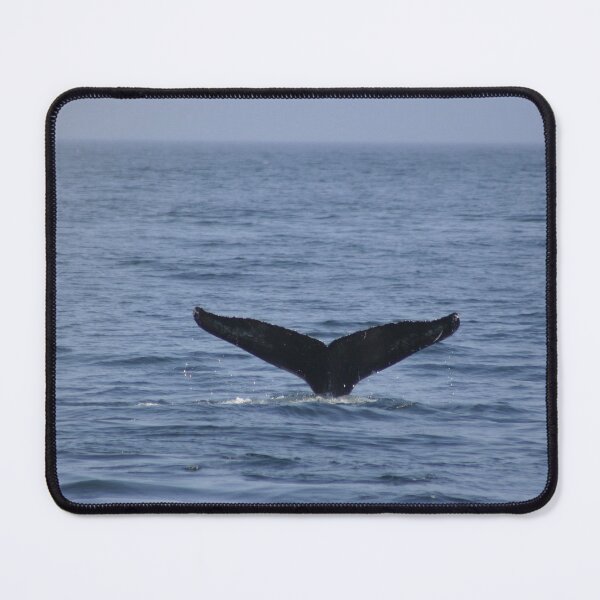 Item preview, A Whale's Tail designed and sold by arcadian7.
