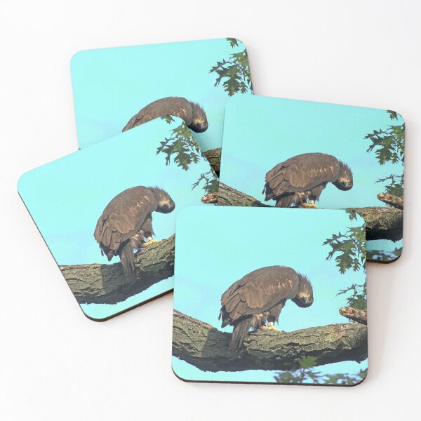 Item preview, Silly Juvenile Bald Eagle designed and sold by arcadian7.