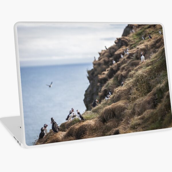 Iceland Laptop Skin
