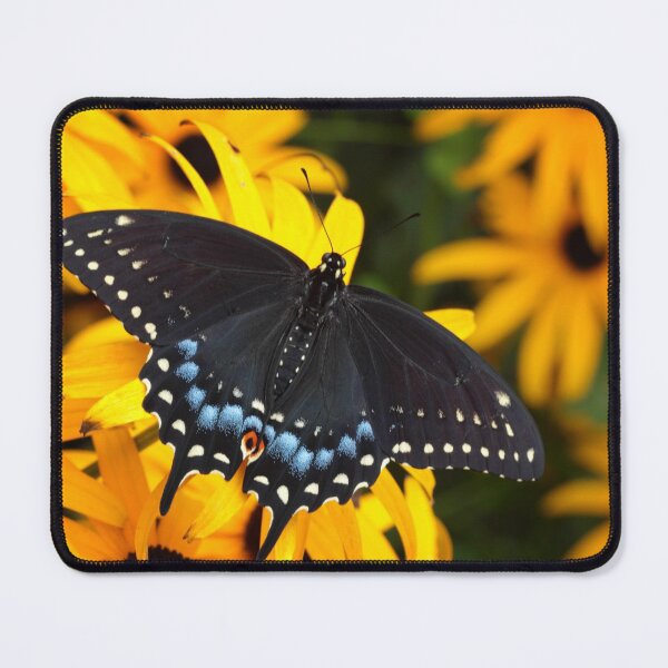 Item preview, black swallowtail on flowers designed and sold by arcadian7.