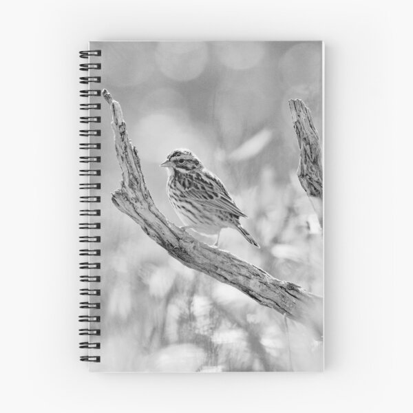 Item preview, Savannah Sparrow black and white designed and sold by arcadian7.