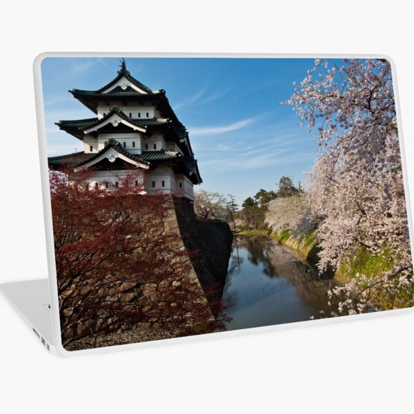 Separation of Beauty Laptop Skin