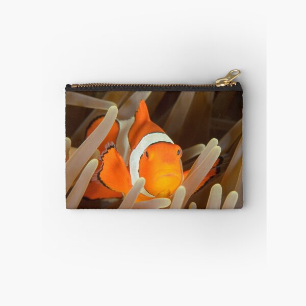 Item preview, False Clown Anemonefish - Amphiprion ocellaris designed and sold by Andrew Trevor-Jones.