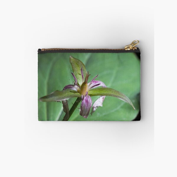 Item preview, Painted lady designed and sold by cherylc1.