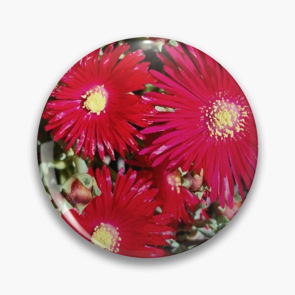 Item preview, RED DAISIES designed and sold by Steffi August.