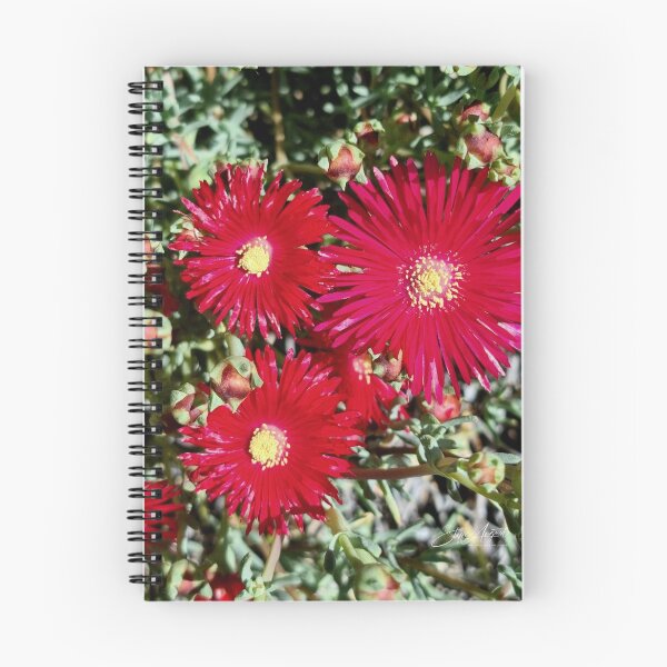 Item preview, RED DAISIES designed and sold by Steffi August.