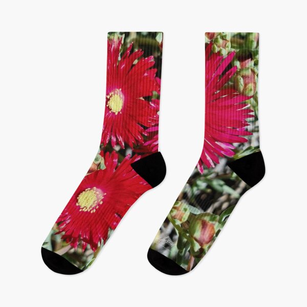 Item preview, RED DAISIES designed and sold by Steffi August.