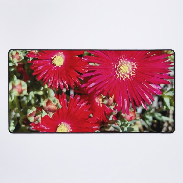 Item preview, RED DAISIES designed and sold by Steffi August.