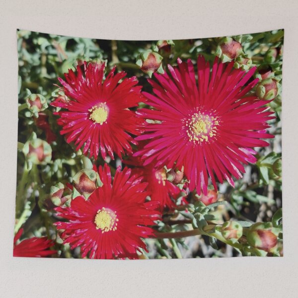 Aperçu de l'œuvre MARGUERITE ROUGE créée et vendue par Steffi August.