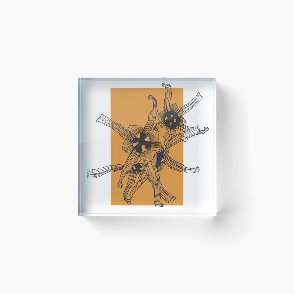 Item preview, Witchhazel - day 4 witchtober designed and sold by EmilieZaenker.