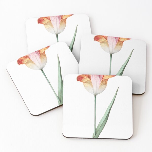 Item preview, Vintage Tulip Illustration designed and sold by Kathleen Douglas.